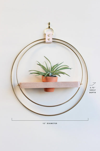 modern wall decor for air plants gold circular wall mounted plant shelf light wood and mini terracotta pot with product dimensions.