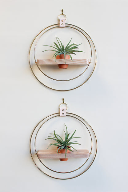 modern wall mounted gold circular plant shelf for air plants