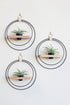 modern wall decor for air plants matte black circular wall mounted plant shelf light wood and mini black pot