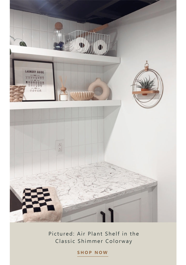 plant-shelf-styled-on-wall-in-laundry-room-braidandwood