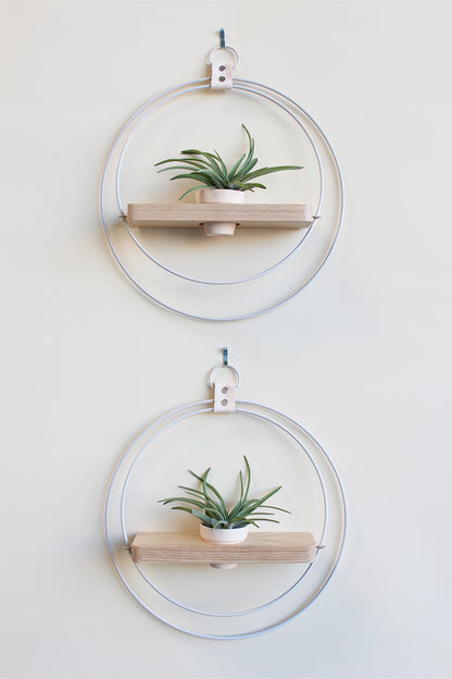 modern wall mounted white circular plant shelf for air plants