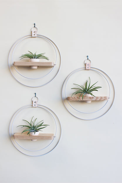 modern wall decor for air plants white circular wall mounted plant shelf light wood and mini  blush