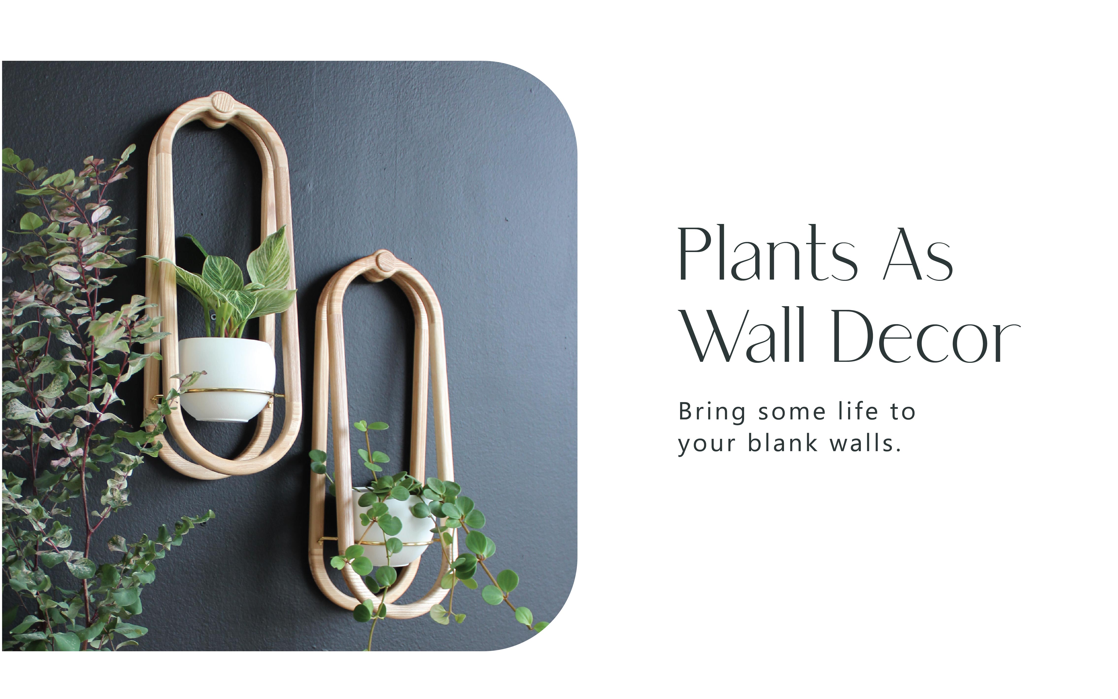 frame-wall-planter-duo-on-dark-wall-with-houseplants-braidandwood