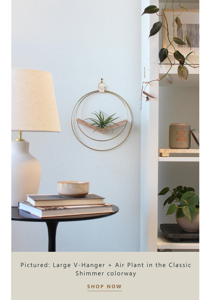 single-v-hanger-styled-next-to-bookcase-sidetable-braidandwood