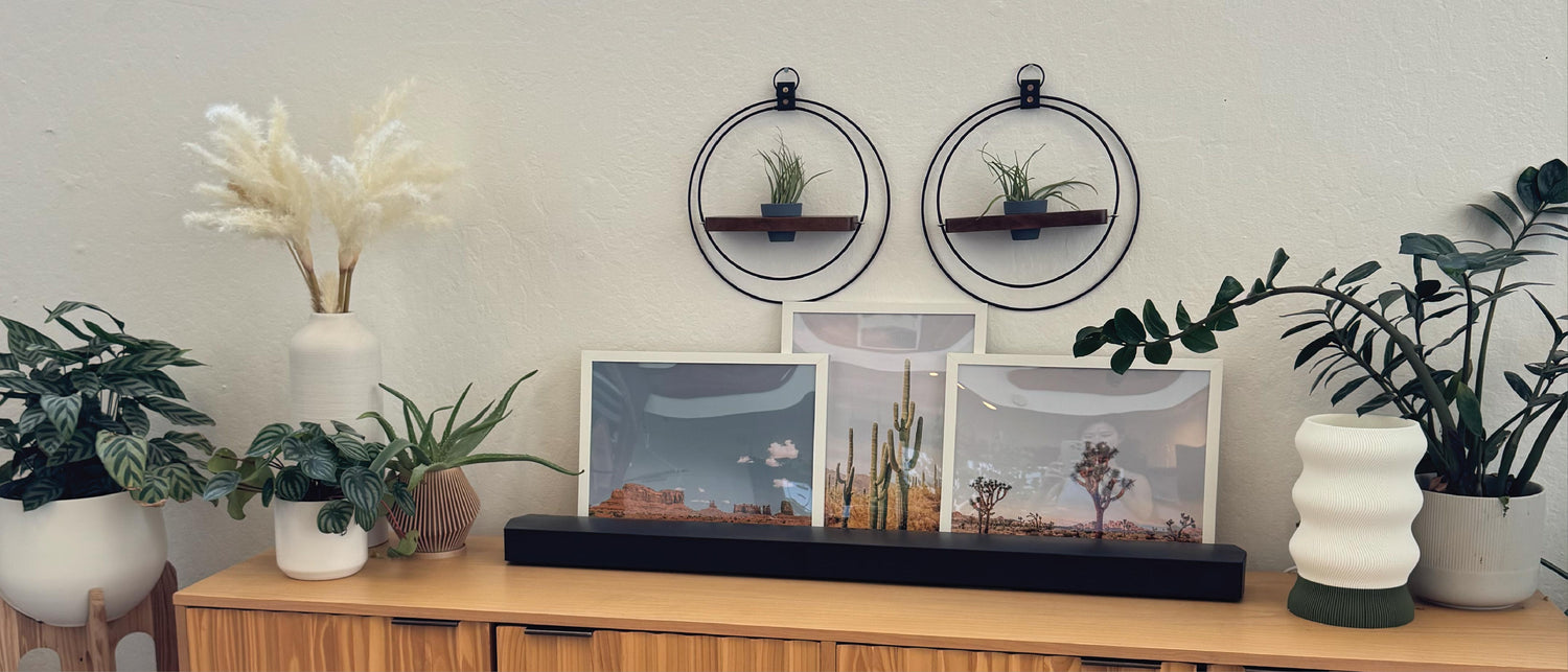 plant-shelf-duo-dark-and-stormy-above-modern-scandi-console-table-braidandwood