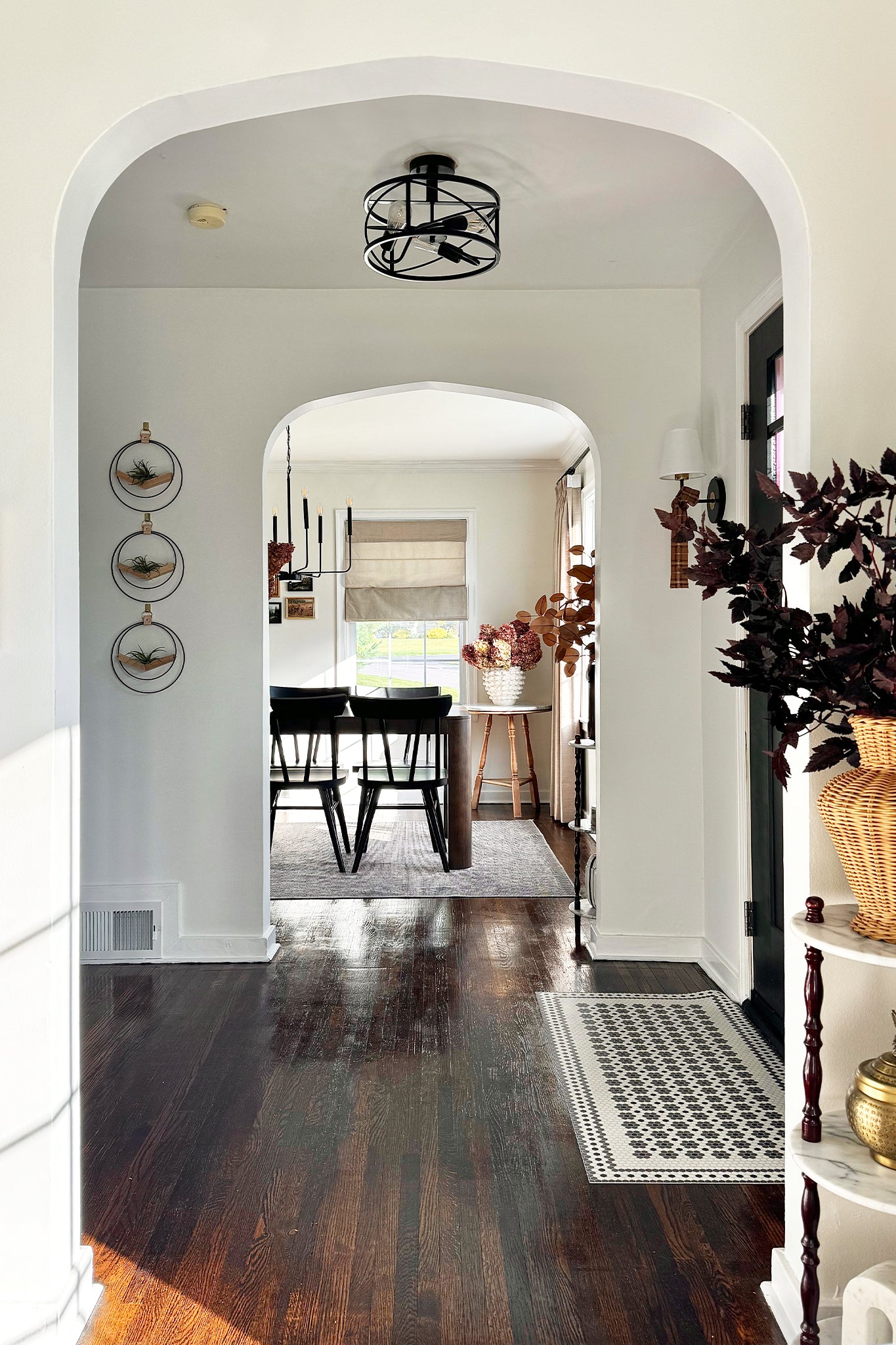 three modern air plant holders in a foyer made of solid wood and black metal rings