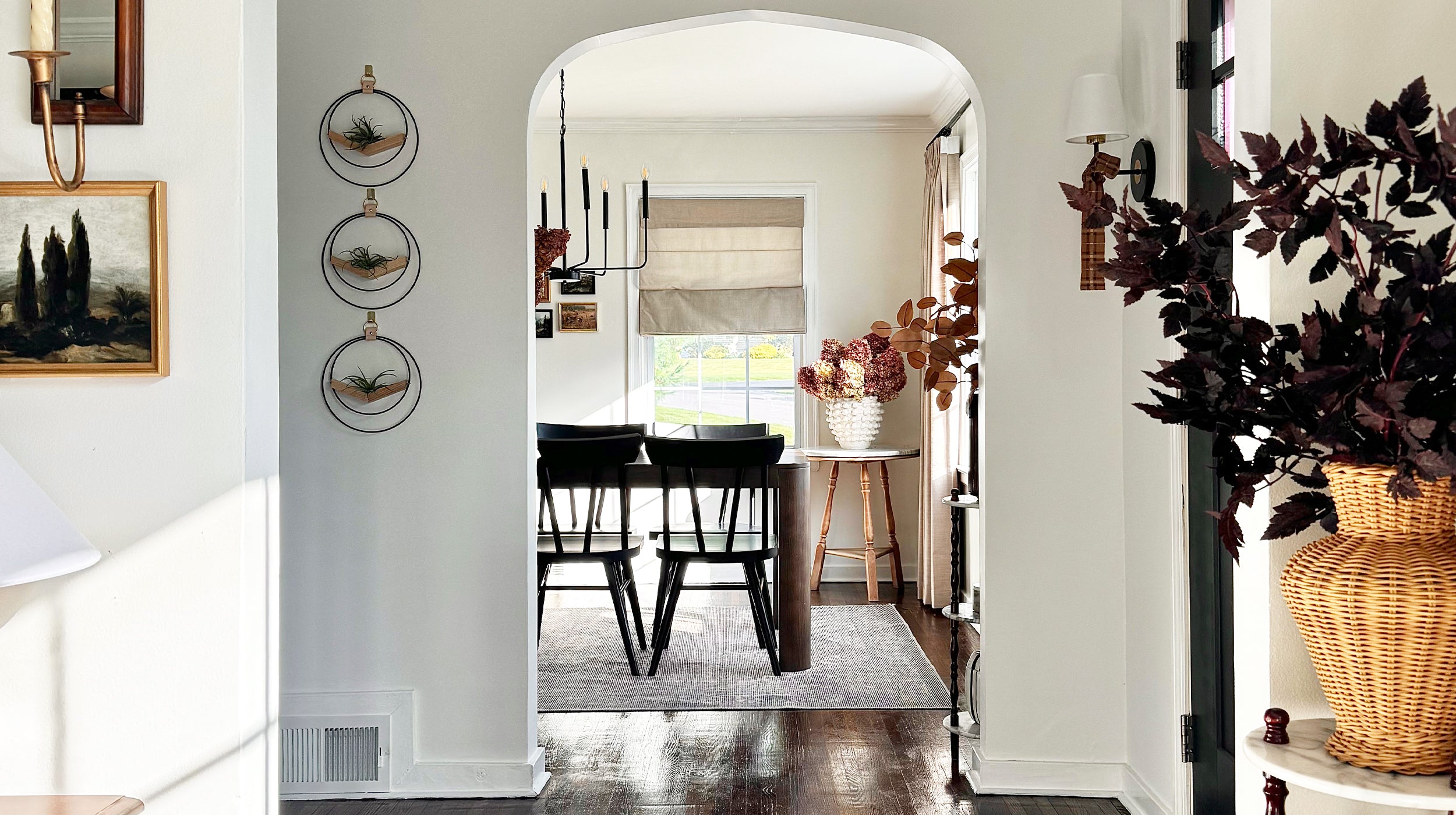 three stacked V shaped wall mounted planters with black circular rings holding air plants in an entryway