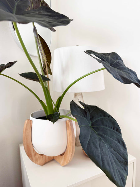 nested-plant-stand-modern-sidetable-braidandwood