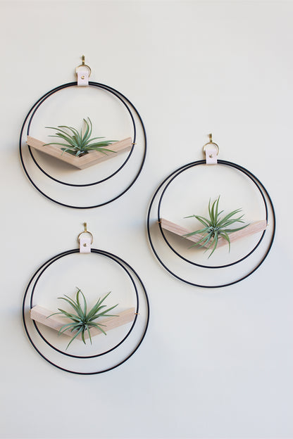 modern wall decor for air plants, large circular hanging planter with light wood v-shelf and matte black rings