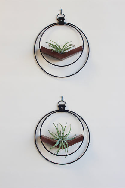 modern wall decor small v hanging matte black plant shelf with walnut stained wood for air plants