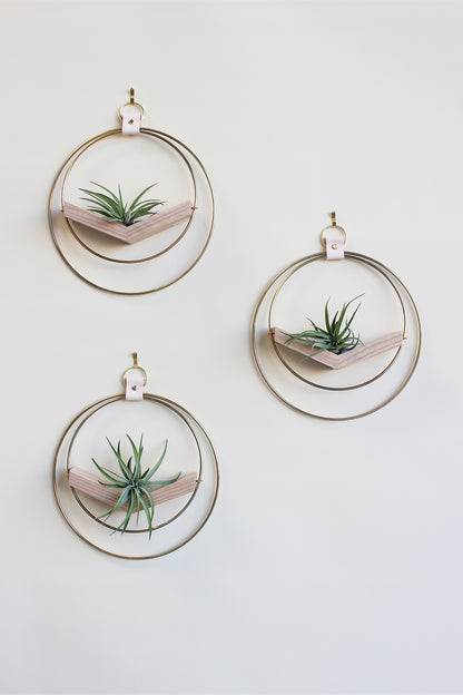 modern wall decor for air plants, small circular hanging planter with light wood v-shelf and gold rings