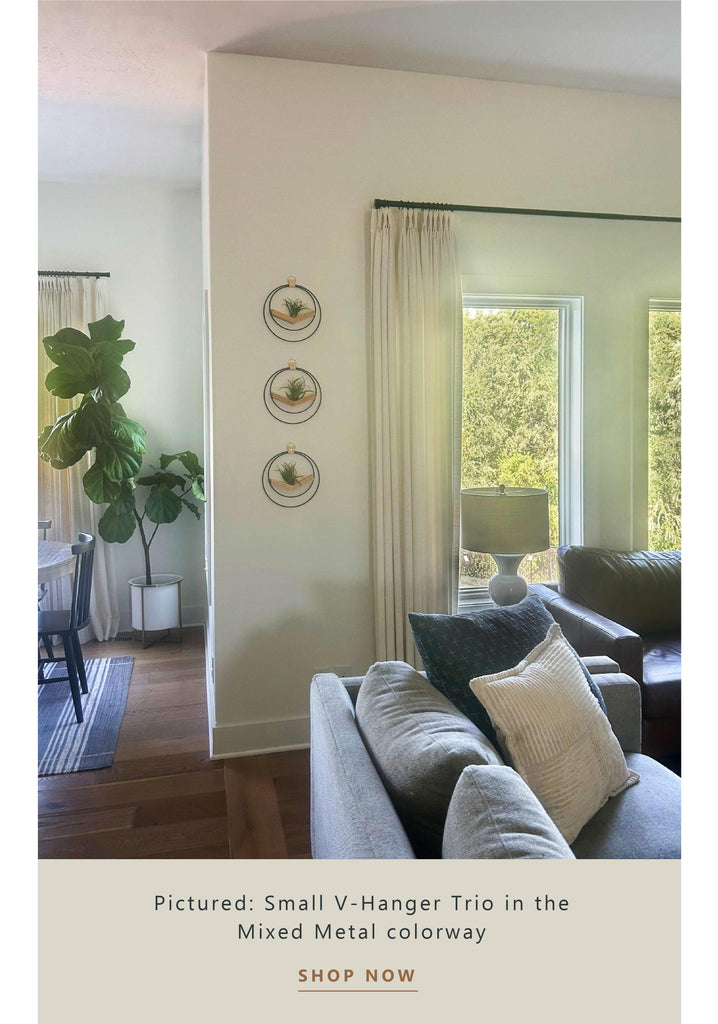 v-hanger-styled-in-a-living-room-braidandwood