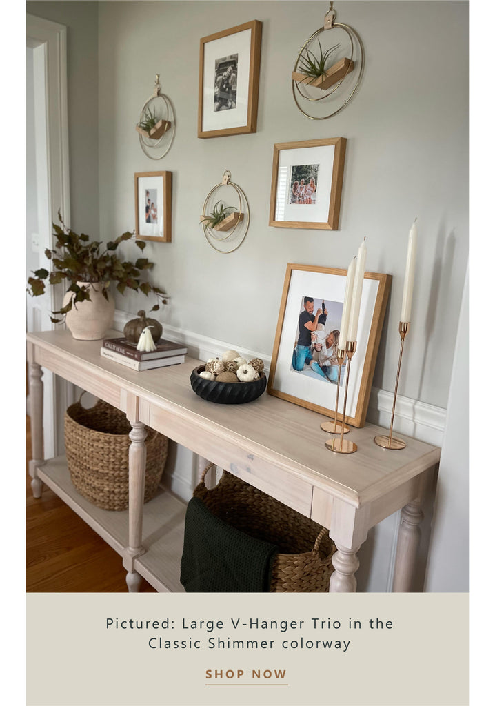 v-hanger-styled-on-gallery-wall-in-entryway-braidandwood