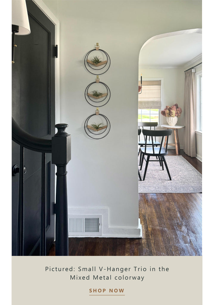 v-hanger-trio-styled-in-a-vertical-line-in-entryway-braidandwood