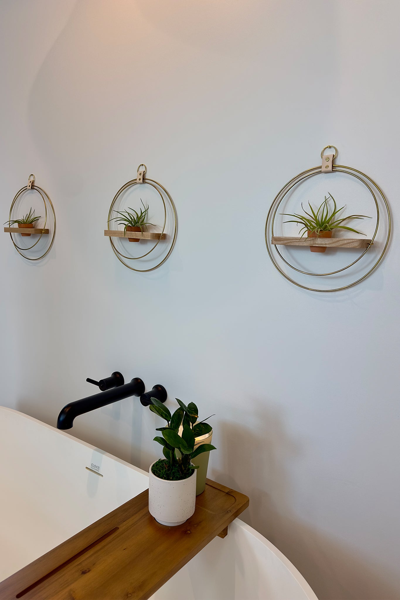 Detail shot of a modern freestanding bathtub and wall-mounted circular planters with air plants.