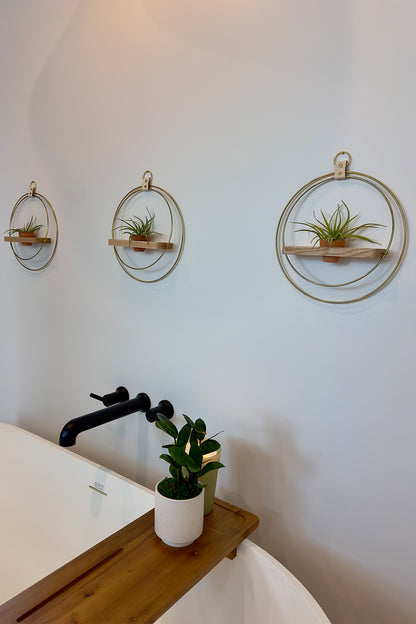 Detail shot of a modern freestanding bathtub and wall-mounted circular planters with air plants.