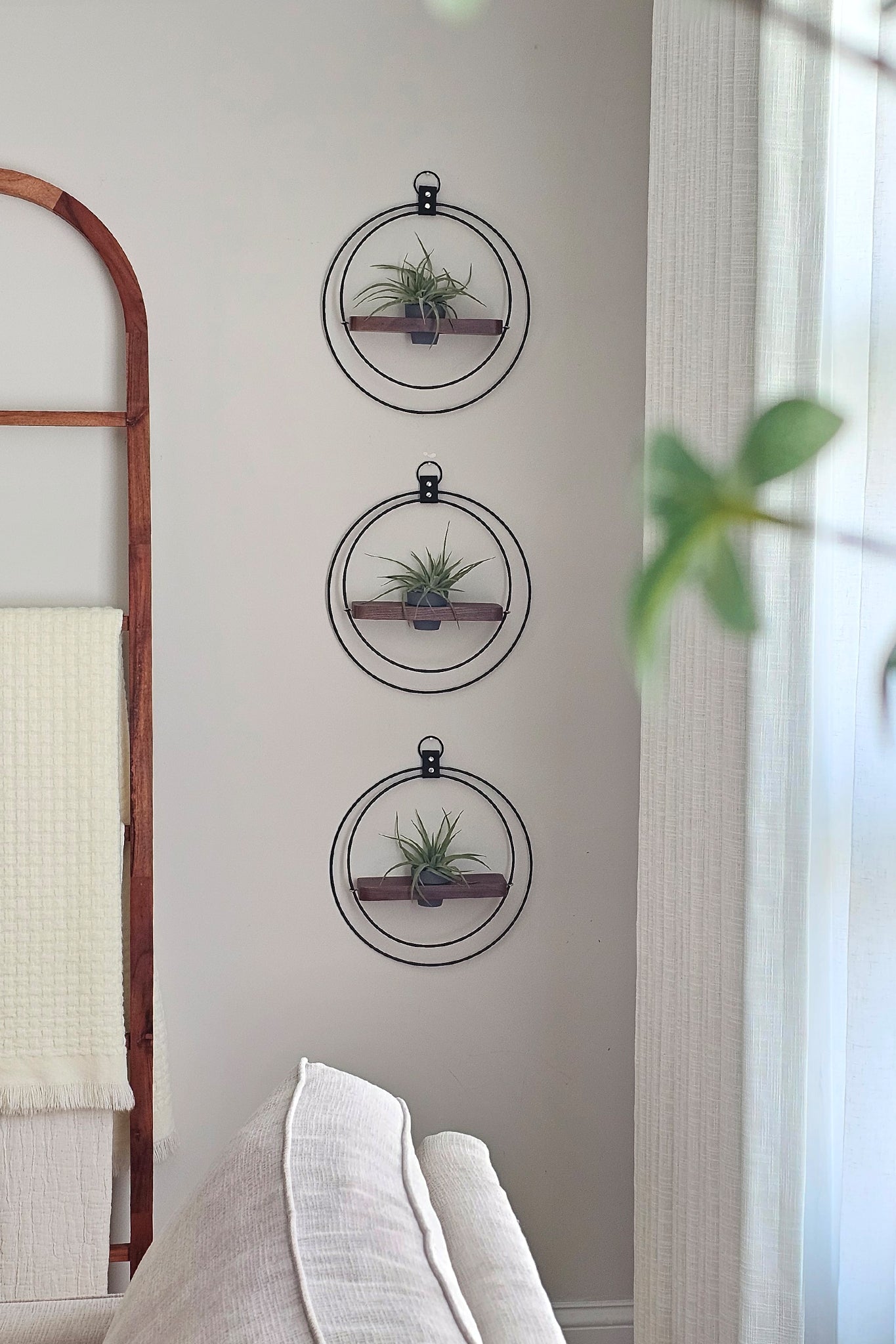 Wall-mounted circular planters with air plants on a neutral wall next to a blanket ladder and linen couch.